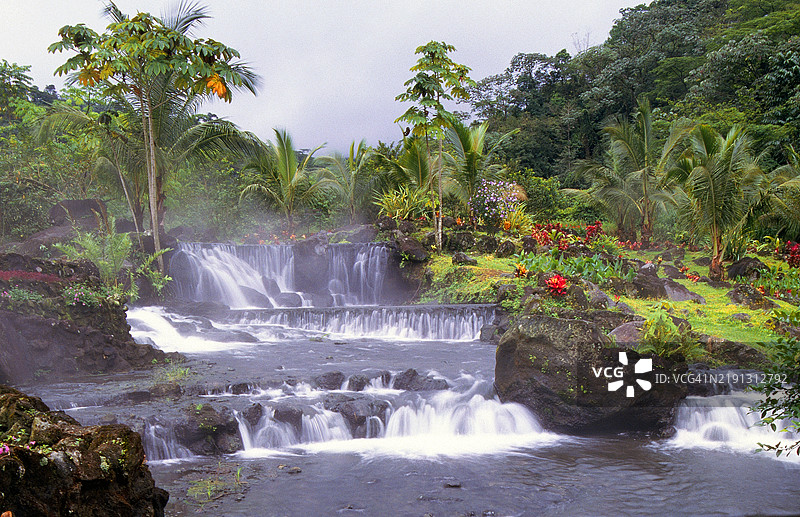 哥斯达黎加的雨林瀑布图片素材