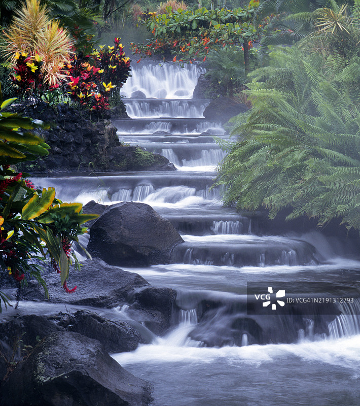 哥斯达黎加的雨林瀑布图片素材