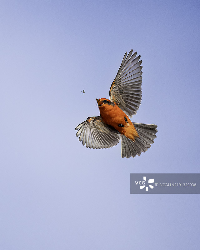 在行动中图片素材