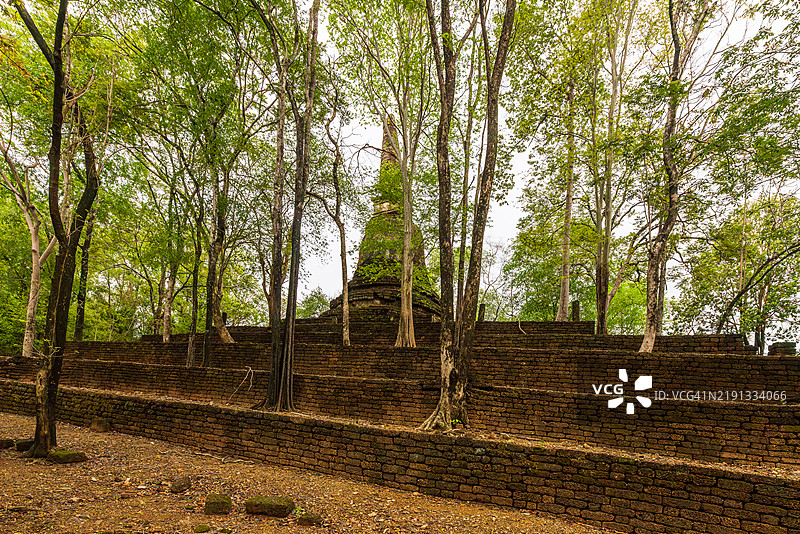 在泰国中北部素可泰省西萨查纳莱镇附近的西萨查纳莱历史公园（联合国教科文组织世界遗产）内，古老寺庙瓦切迪安（纪念碑编号15）的红土梯田上生长着树木。图片素材