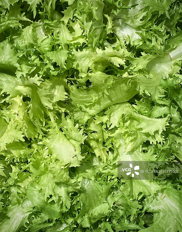 沙拉的质感图片素材