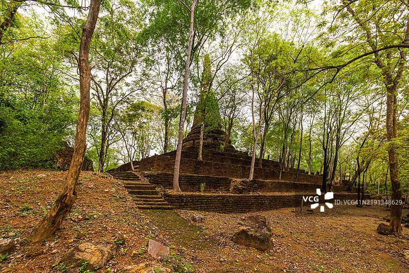 在泰国中北部素可泰省西萨查纳莱镇附近的西萨查纳莱历史公园（联合国教科文组织世界遗产）内，古老寺庙瓦切迪安（纪念碑15号）上的红土梯田上生长着树木。图片素材