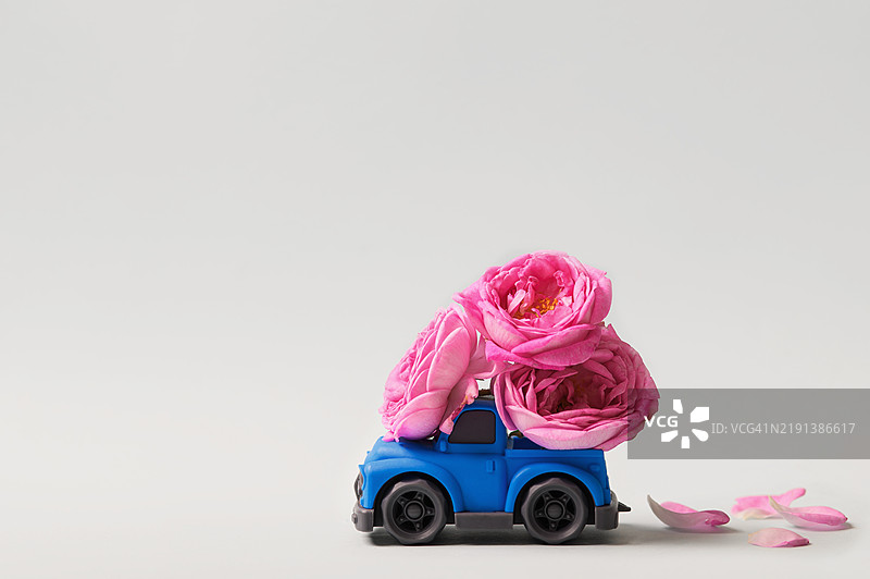 玩具蓝色卡车载着粉色玫瑰，背景简约图片素材