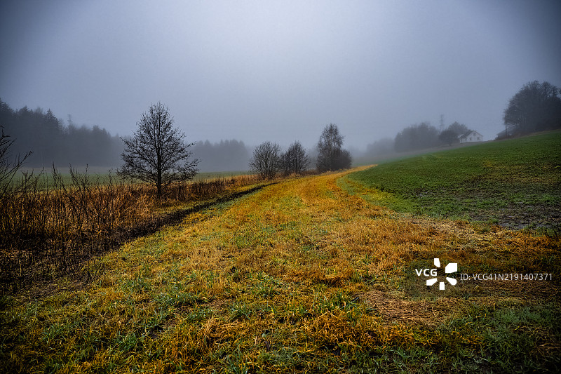 田野在冬季依然色彩斑斓图片素材