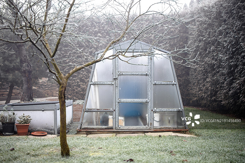 花园里的寒冷冬日图片素材