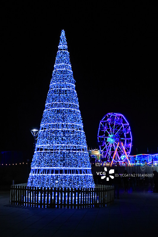 纽波特的圣诞树图片素材