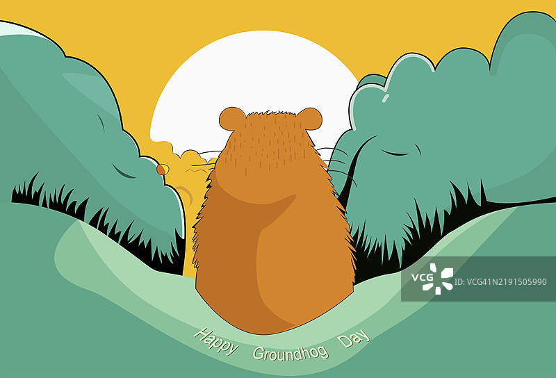 土拨鼠在土拨鼠日的早晨，站在两丛灌木之间看日出图片素材