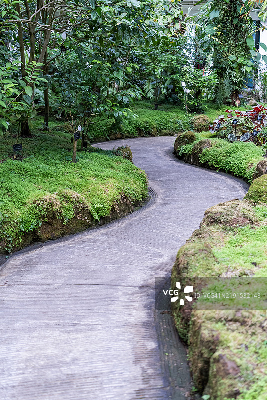 公园内的行人小道图片素材