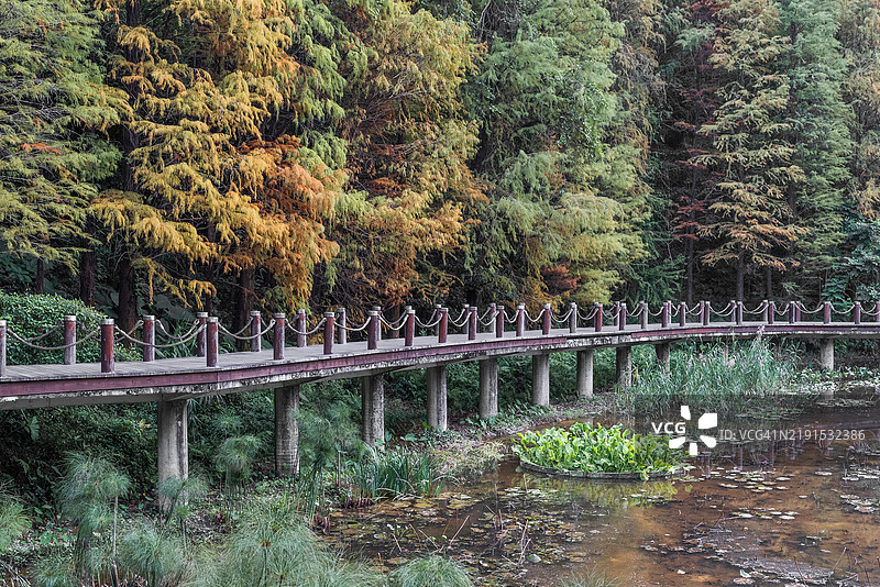 公园里的木桥 4K图片素材