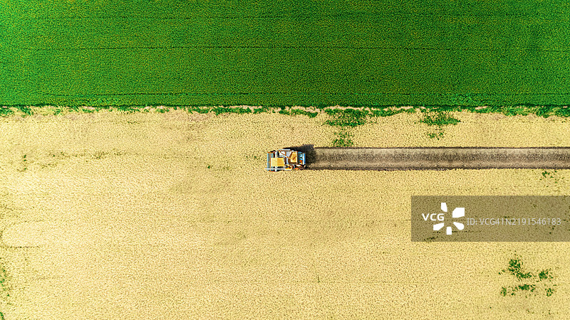 从空中俯瞰收割机在泰国稻田中作业。图片素材