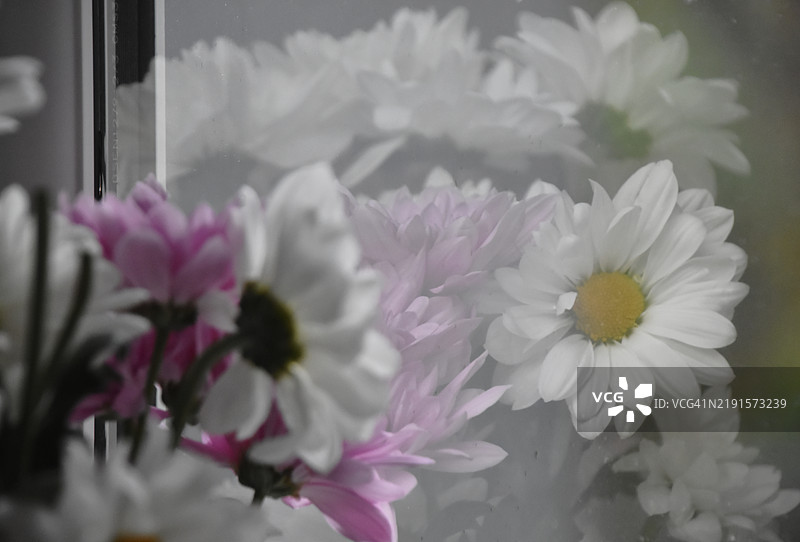 用花朵创作图片素材