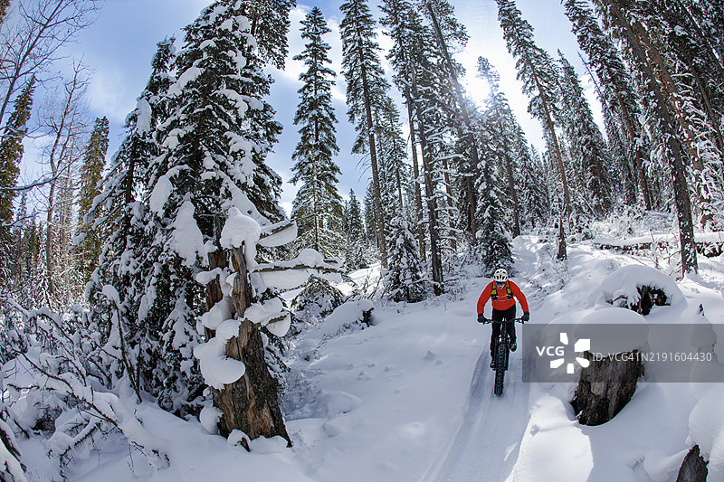 阳光明媚的冬季胖轮自行车骑行图片素材