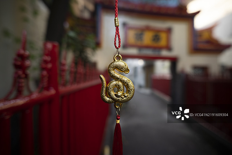 2025年蛇年春节图片素材