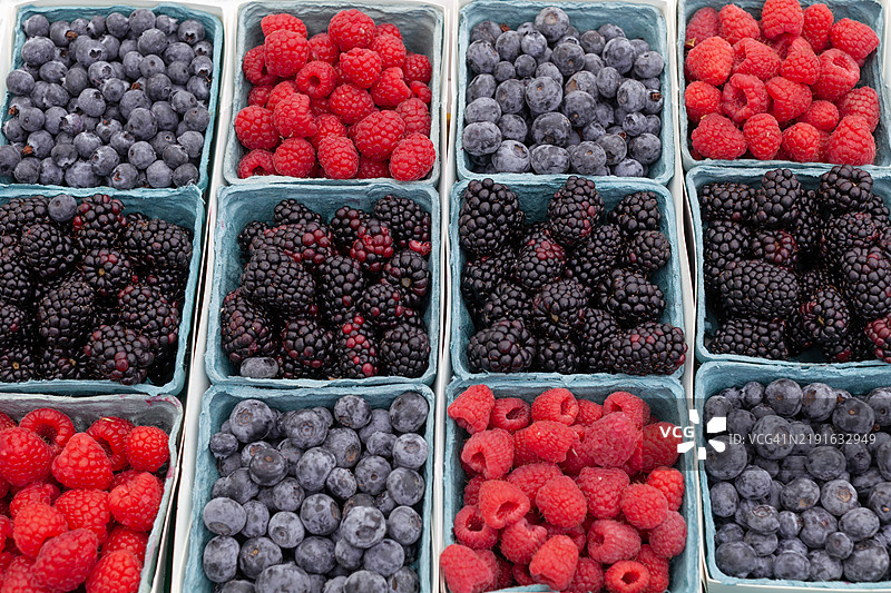 新鲜夏季浆果在市场容器中展示。图片素材
