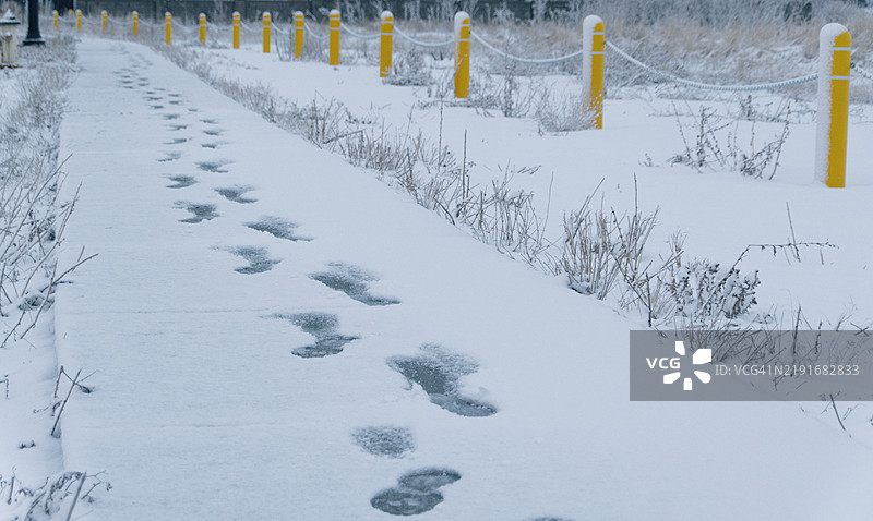安静小径上的雪地足迹图片素材