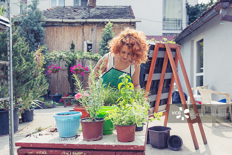 在后院照料植物的园艺女性图片素材