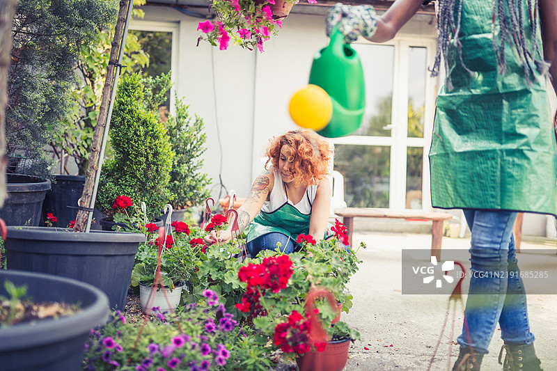 一起园艺：绽放的努力图片素材