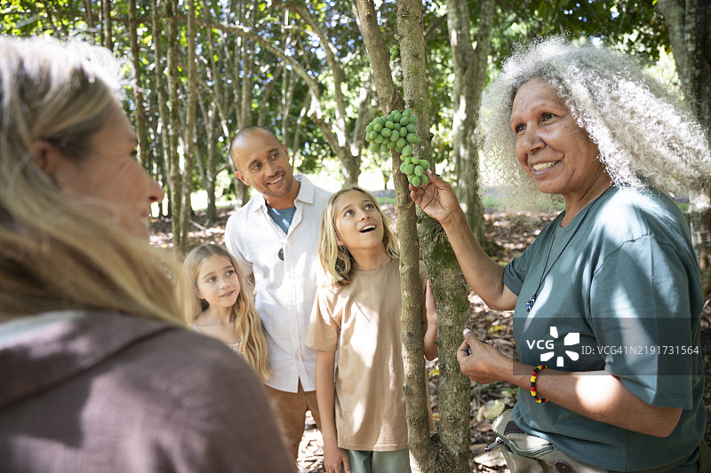 澳大利亚本土食物的丛林食物指南图片素材