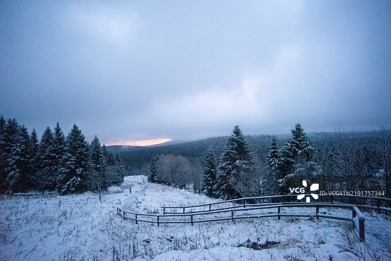 森林中的雪图片素材