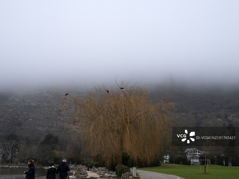 冬季的柳树上栖息着乌鸦，湖边有一群人正在散步。图片素材