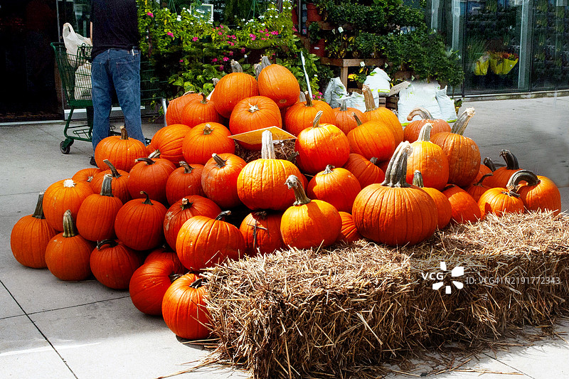 万圣节南瓜展示图片素材