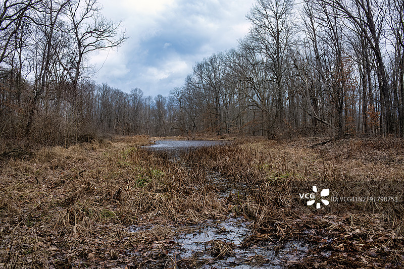 十二月的阿维里尔池塘图片素材