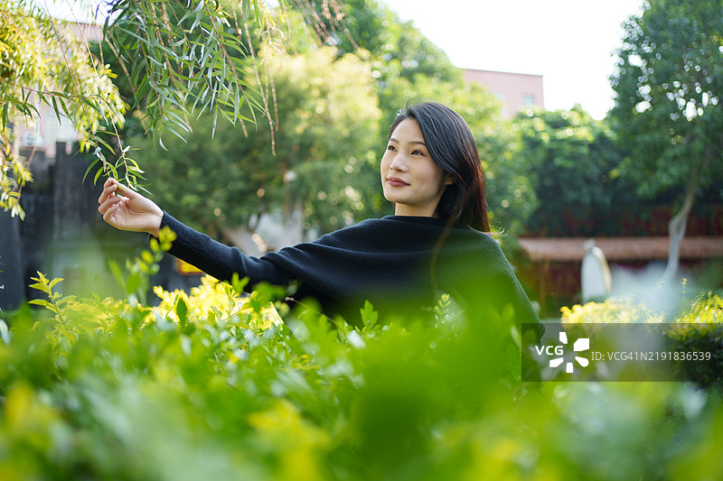 年轻女性用手触摸树叶图片素材
