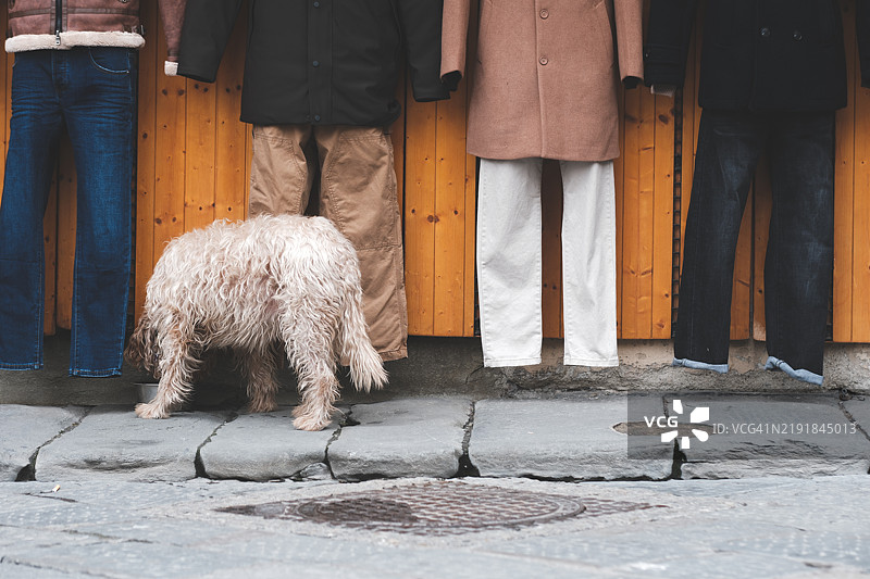 狗在 sidewalk 上吃东西，背景中有衣物，画面引人好奇图片素材