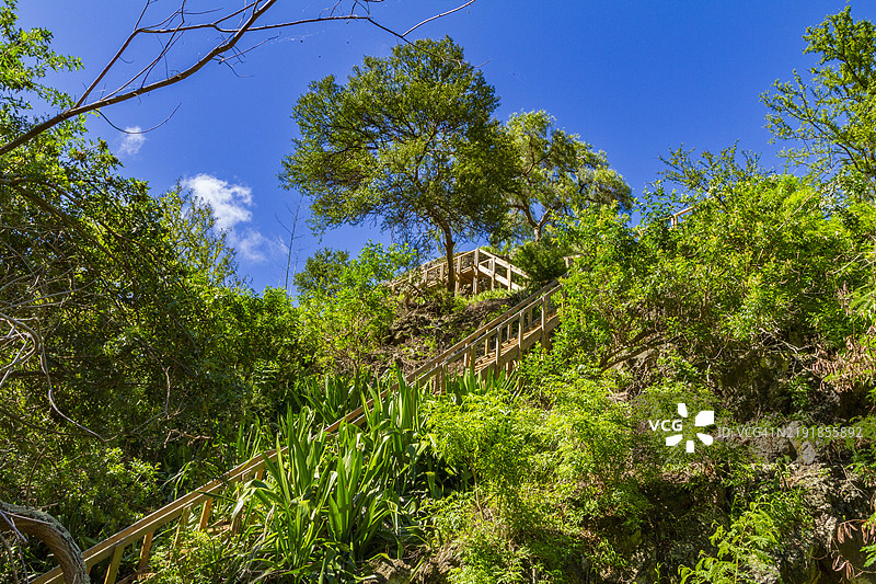从南大西洋圣赫勒拿岛的詹姆斯敦附近通往心形瀑布的小径景观图片素材