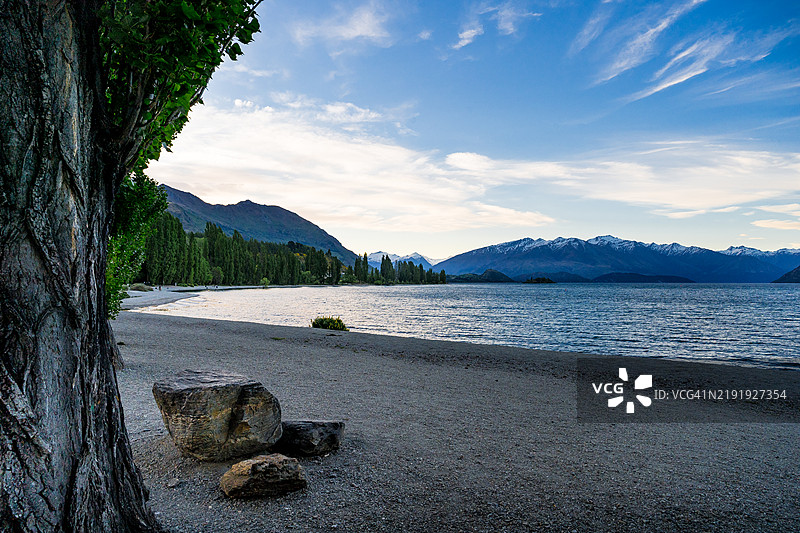 瓦纳卡树，新西兰图片素材