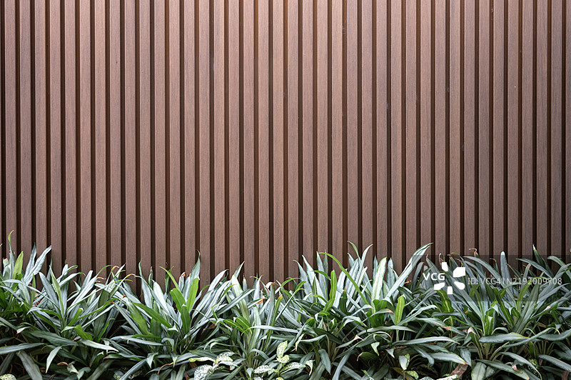 垂直木条墙与绿植图片素材