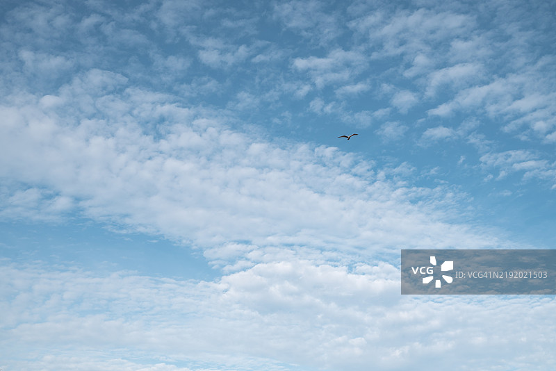 天空中的高积云图片素材