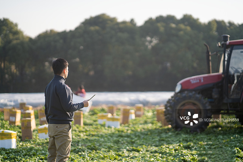亚洲男子在农场使用数字平板电脑图片素材