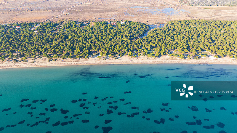 海边森林的无人机照片图片素材