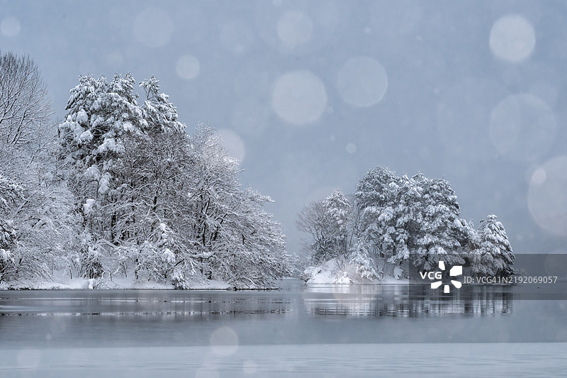 乌兰大野冬季风光图片素材