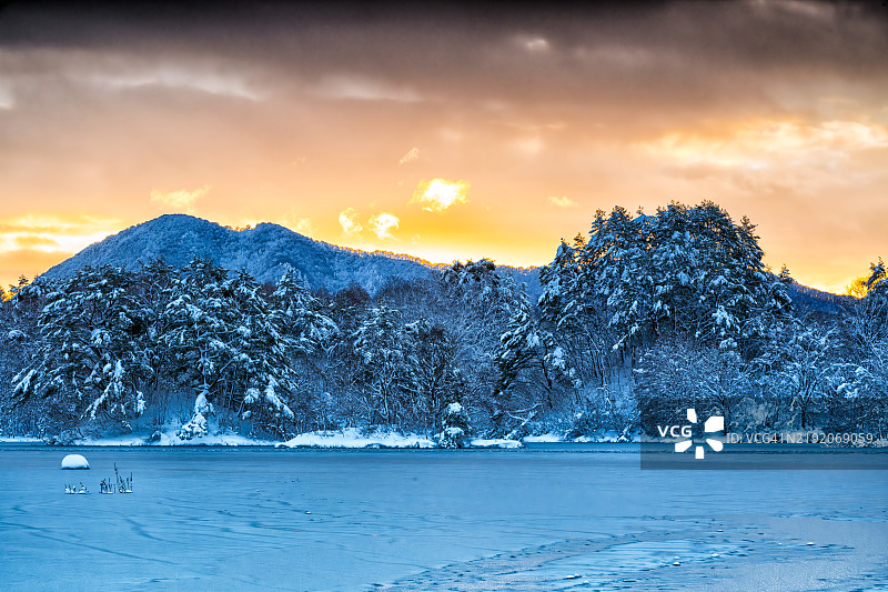 乌兰大野冬季风光图片素材