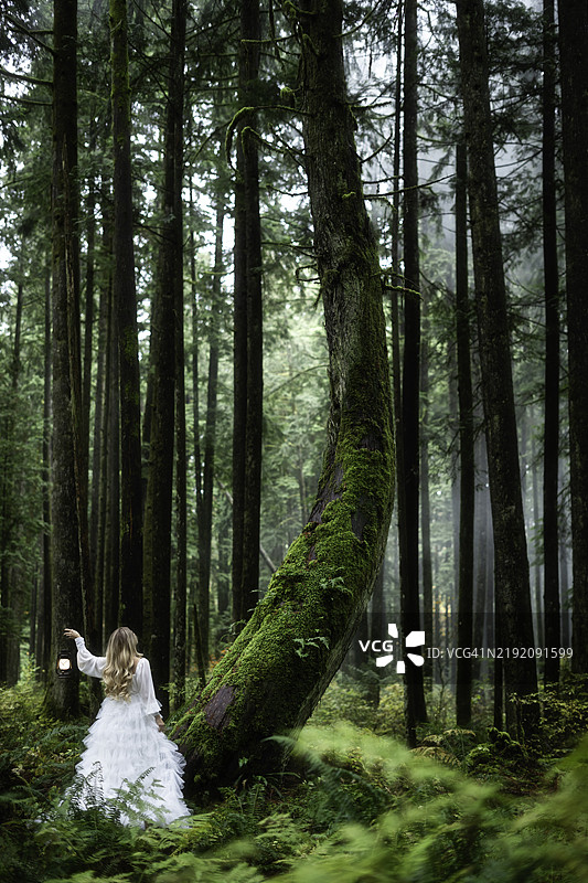 浪漫的女性在苔藓覆盖的童话雨林中图片素材