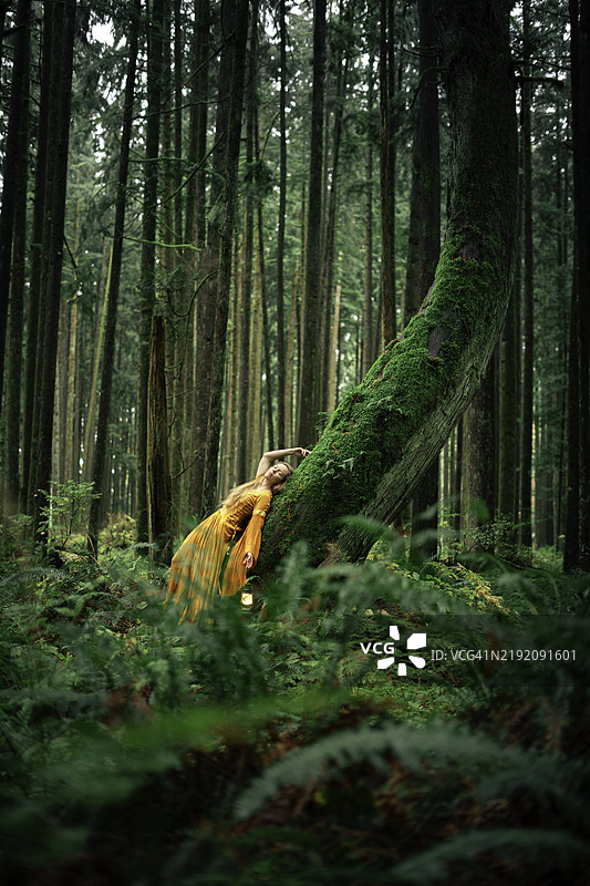 童话森林中一位女性倚靠在倾斜的树上图片素材