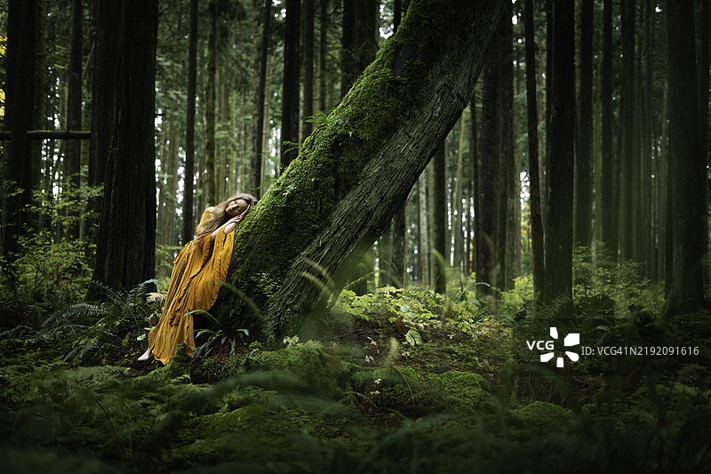 一位穿着长橙色裙子的女性躺在温哥华不列颠哥伦比亚省金耳省立公园的一棵长满苔藓的倾斜树上。图片素材