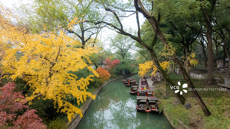 中国苏州的秋季运河景色，传统船只与金色树叶相映成趣图片素材