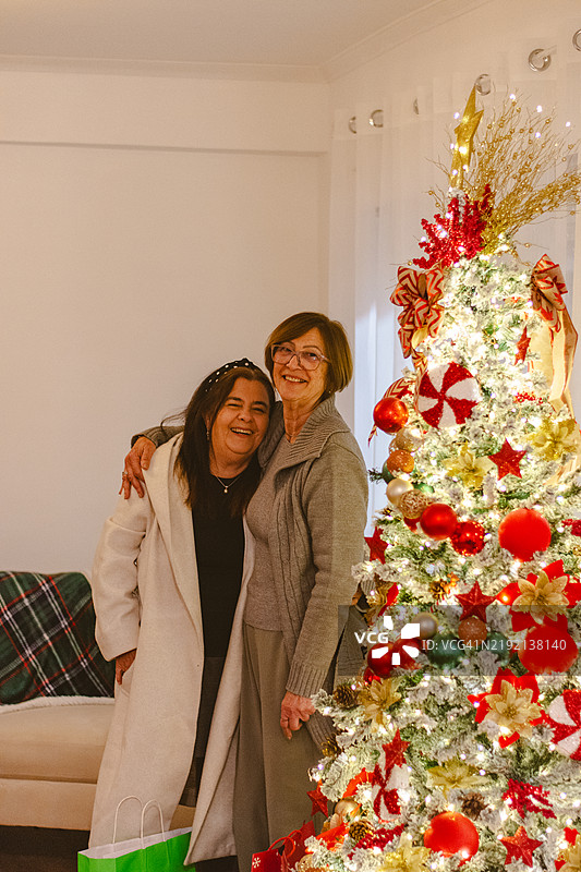 朋友们在家中的圣诞树旁合影图片素材