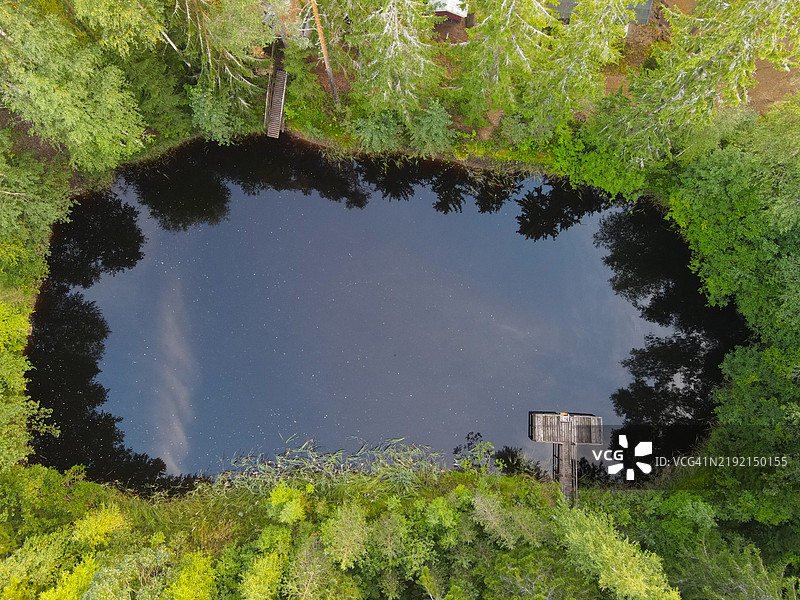 芬兰卡尔基拉湖边的树木高角度视图图片素材