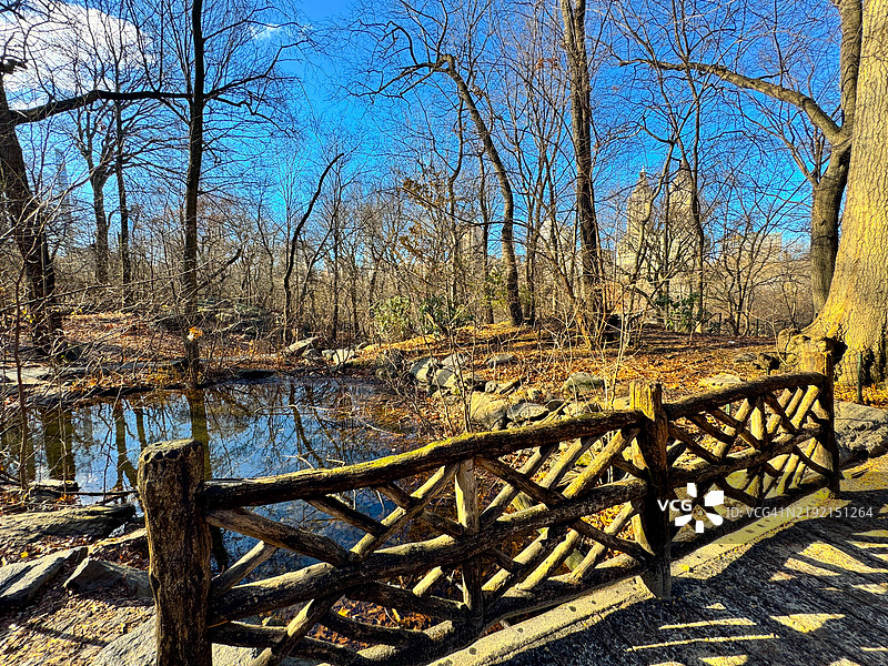 冬季中央公园小溪上的树枝栅栏桥图片素材