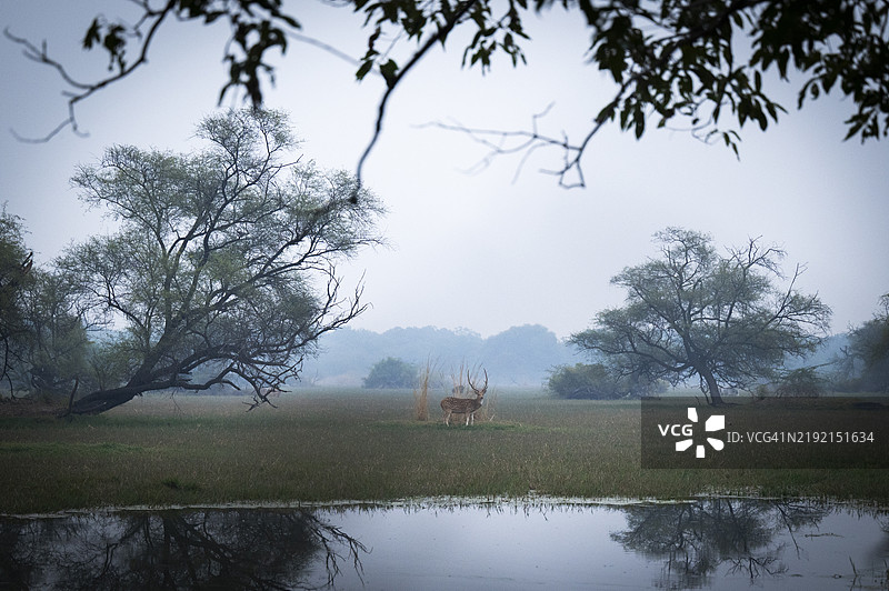 印度湖泊与天空的美丽景色图片素材