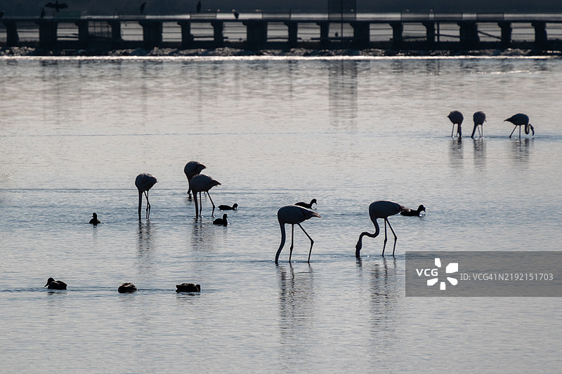圣尼古拉斯修道院，波尔图拉戈斯图片素材