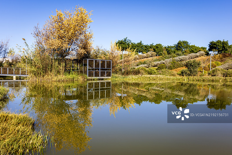 湖泊与晴朗天空的美丽景色图片素材