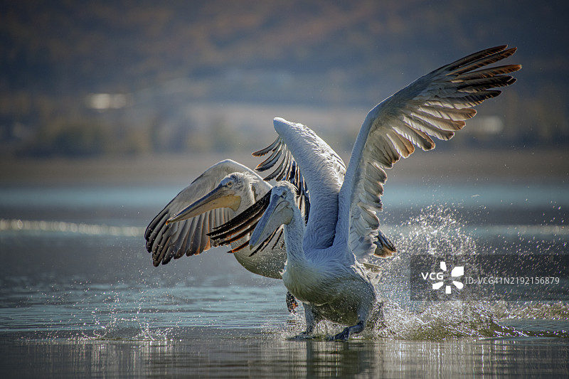 凯尔基尼湖的星期天早晨图片素材