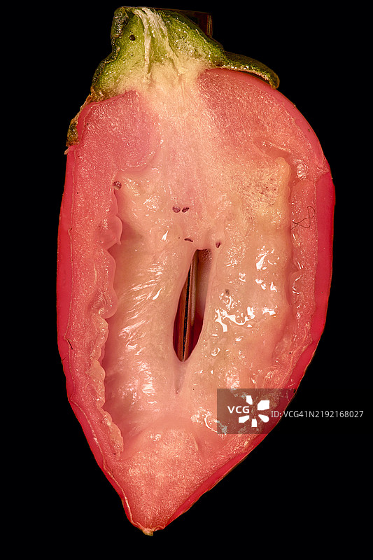 黑色背景下湿润西瓜的特写图片素材