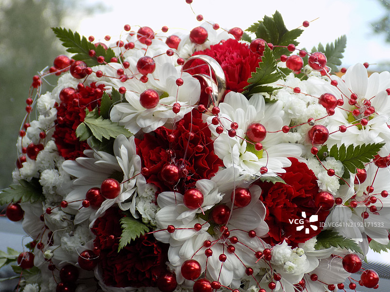 红色花朵的特写镜头图片素材