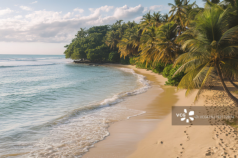 一张令人惊叹的热带海滩空中视角照片图片素材
